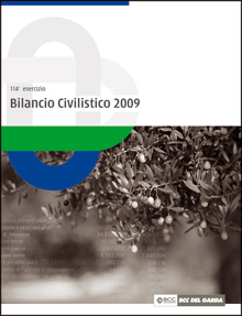 bilancio civilistico 2009